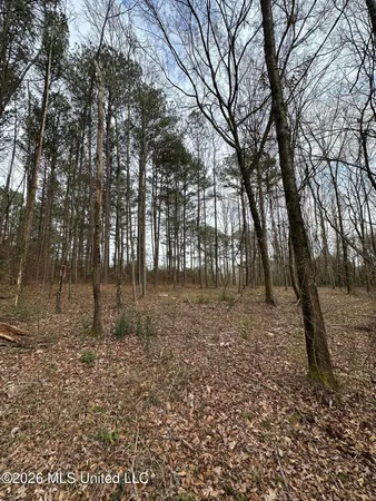 $28,000 | 0 Futch Road, Forest, MS 39074