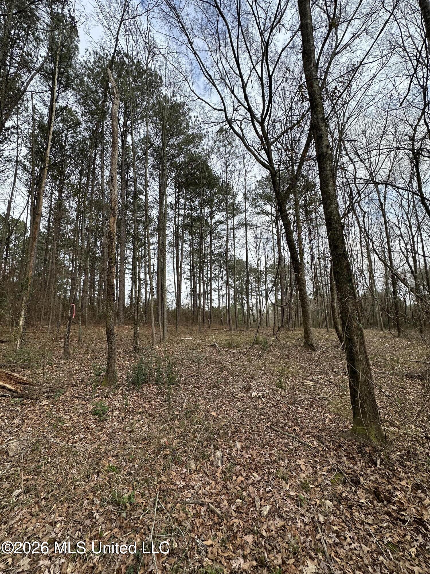 0 Futch Road Forest, MS 39074 - Photo 7 of 17 6.