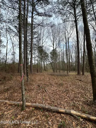 $28,000 | 0 Futch Road, Forest, MS 39074