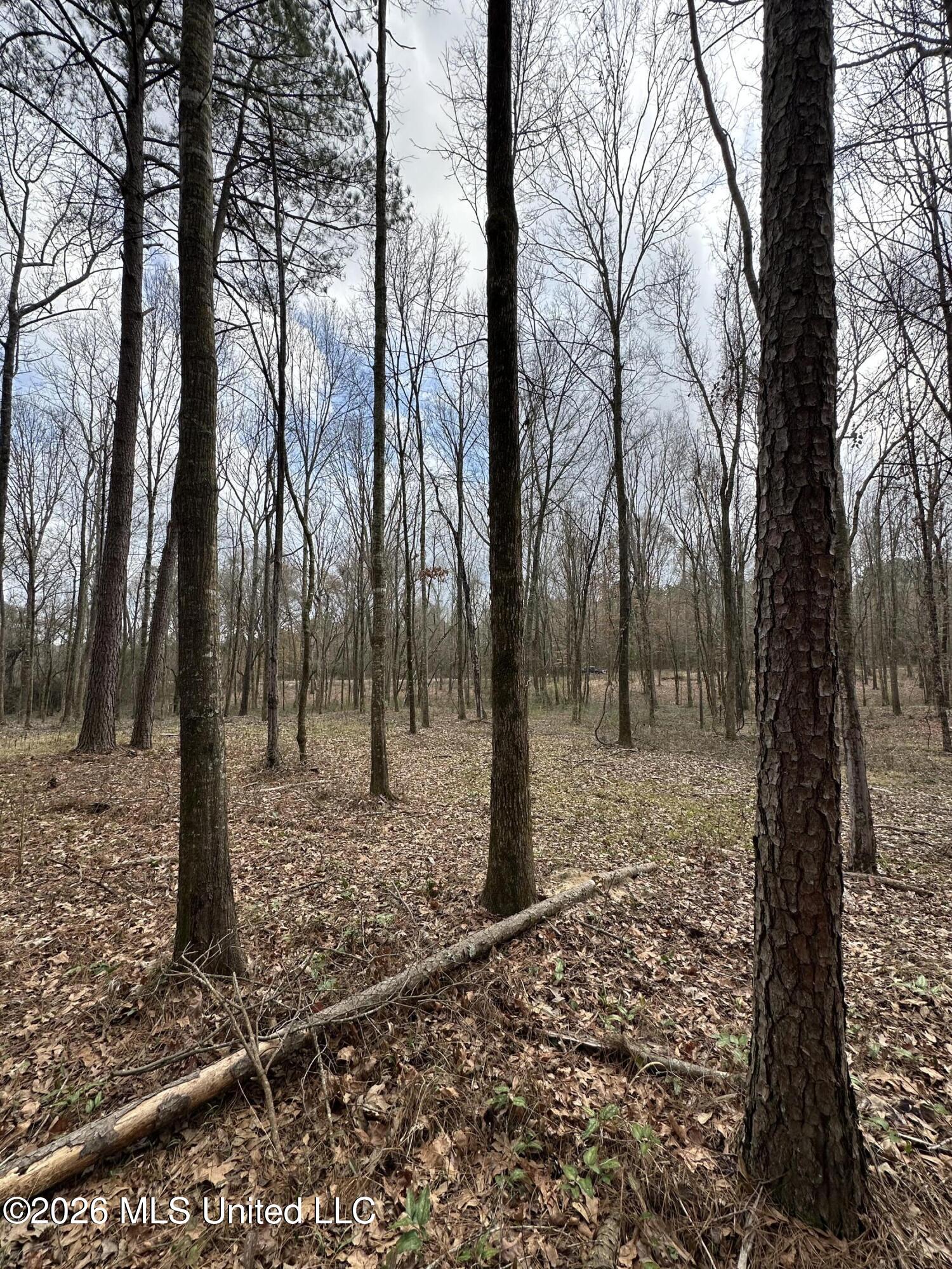 0 Futch Road Forest, MS 39074 - Photo 9 of 17 8.