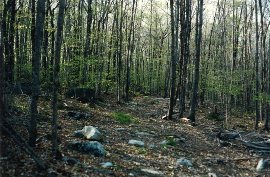 2027 Mann Hill Road Dedham, ME 04429 - Photo 10 of 18 Photo