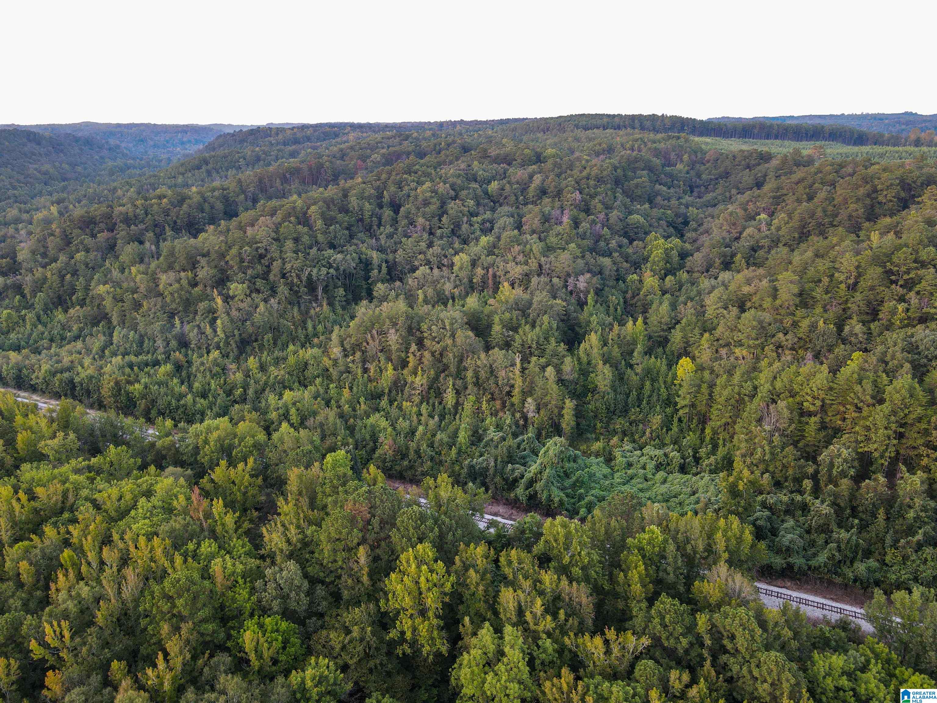 1 Highway 18, Unit 1 Oakman, AL 35579 - Photo 38 of 46