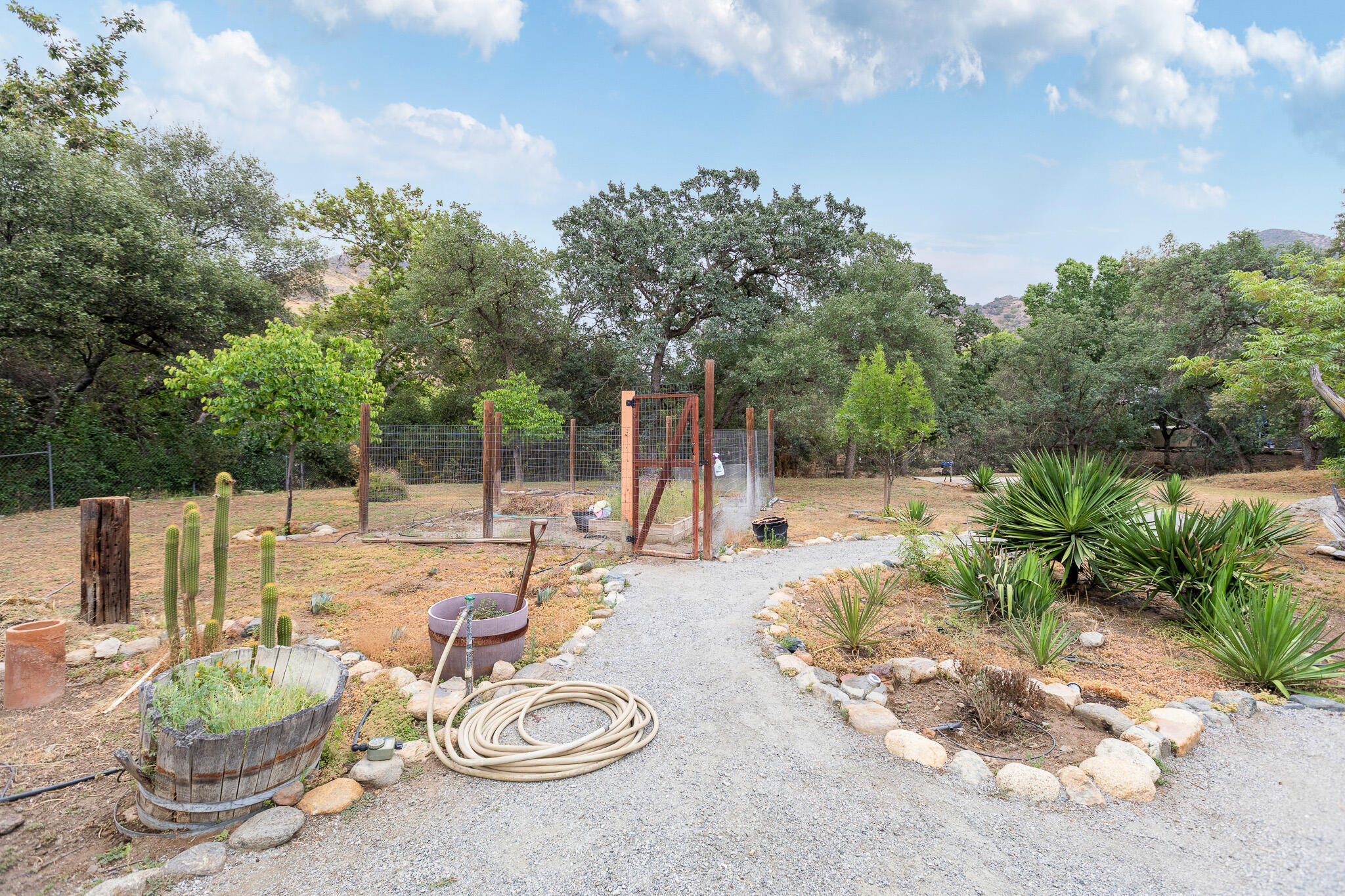 40826 Grouse Drive Three Rivers, CA 93271 - Photo 58 of 75 54 Backyard