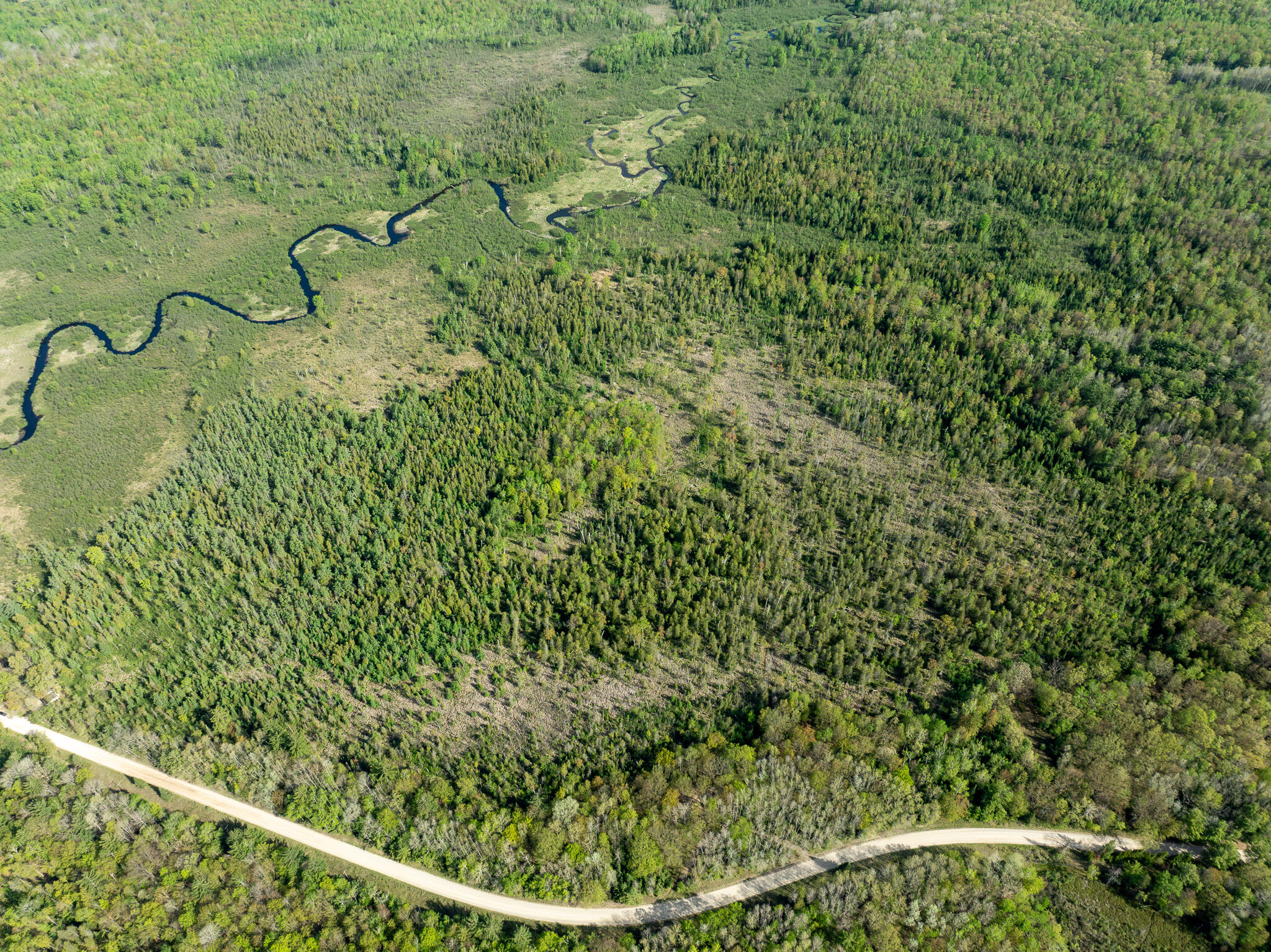 3 3 Mile Road Sears, MI 49679 - Photo 35 of 62 DJI_0331
