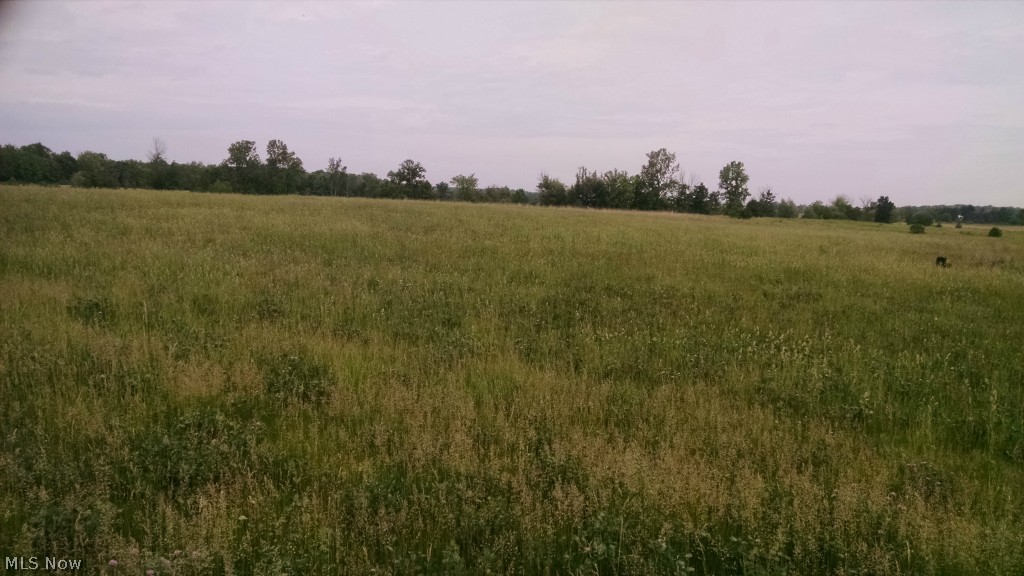 Vl Quarry Road Wellington, OH 44090 - Photo 2 of 12 Gallery Image 2