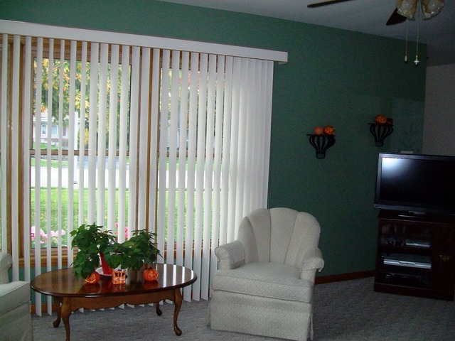 19419 Wolf Road Mokena, IL 60448 - Photo 4 of 19 a living room with furniture and a potted plant