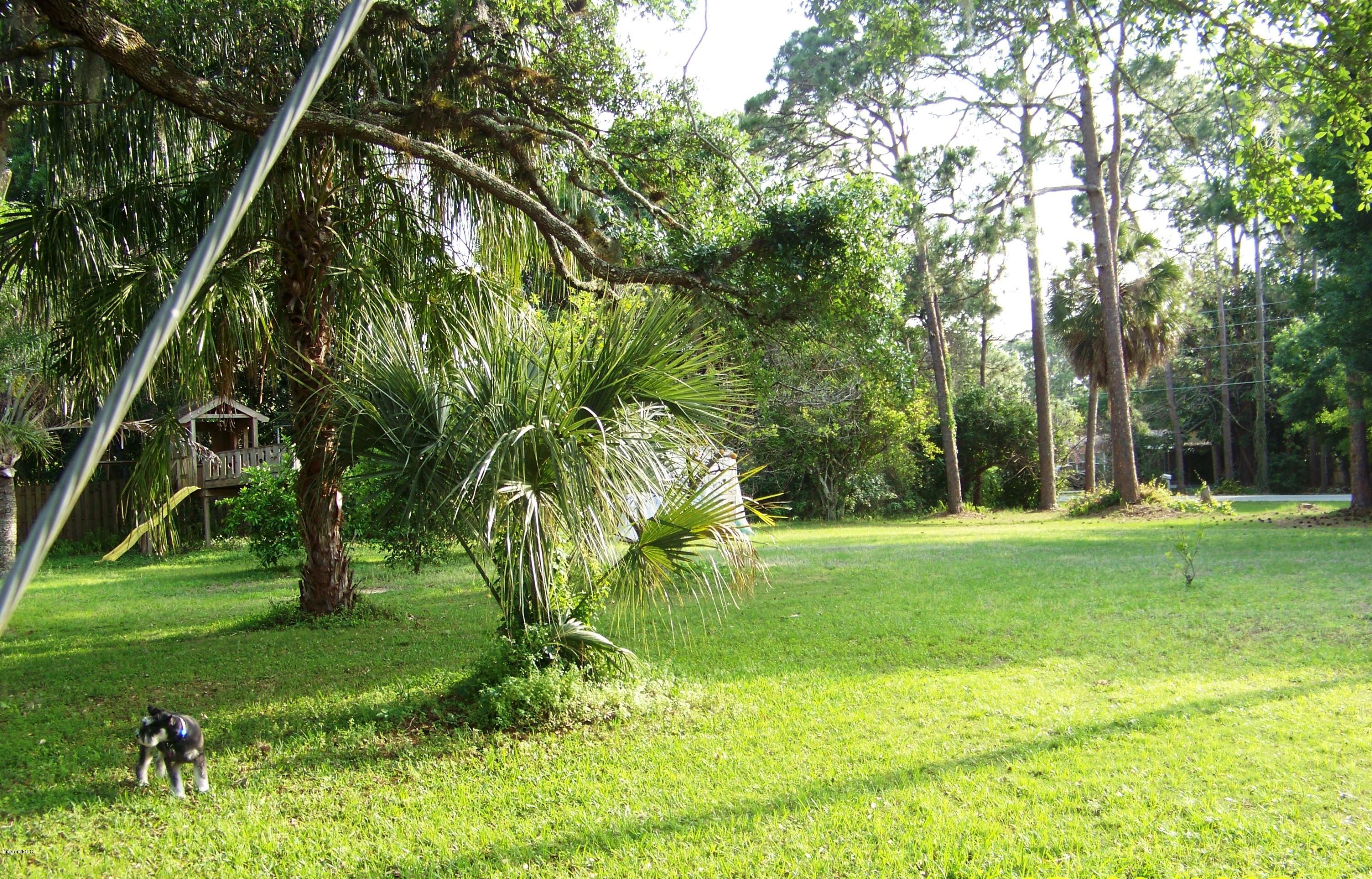 6875 Canal Road Melbourne Village, FL 32904 - Photo 22 of 23 100_0588