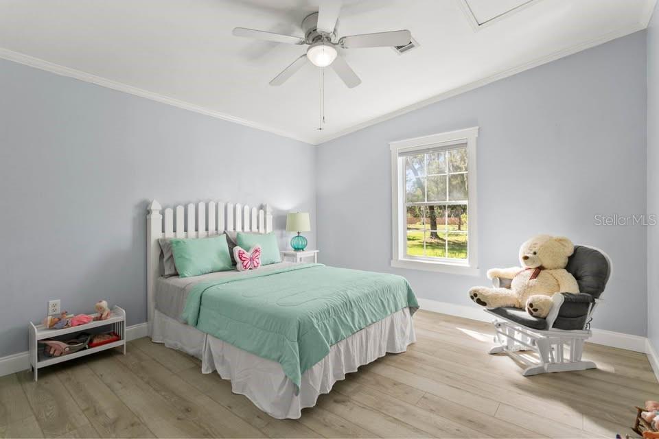 6330 Oil Well Road Clermont, FL 34714 - Photo 9 of 44