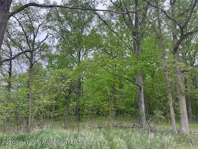 0 West Hyde Road St. Johns, MI 48879 - Photo 2 of 10 IMG_9169