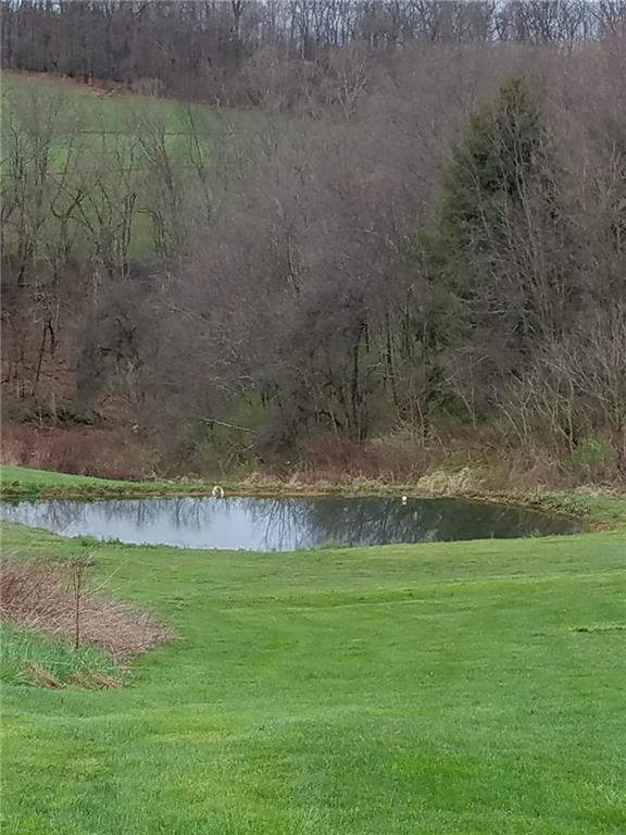 2225 McCreight Road Shelocta, PA 15774 - Photo 5 of 16 Pond