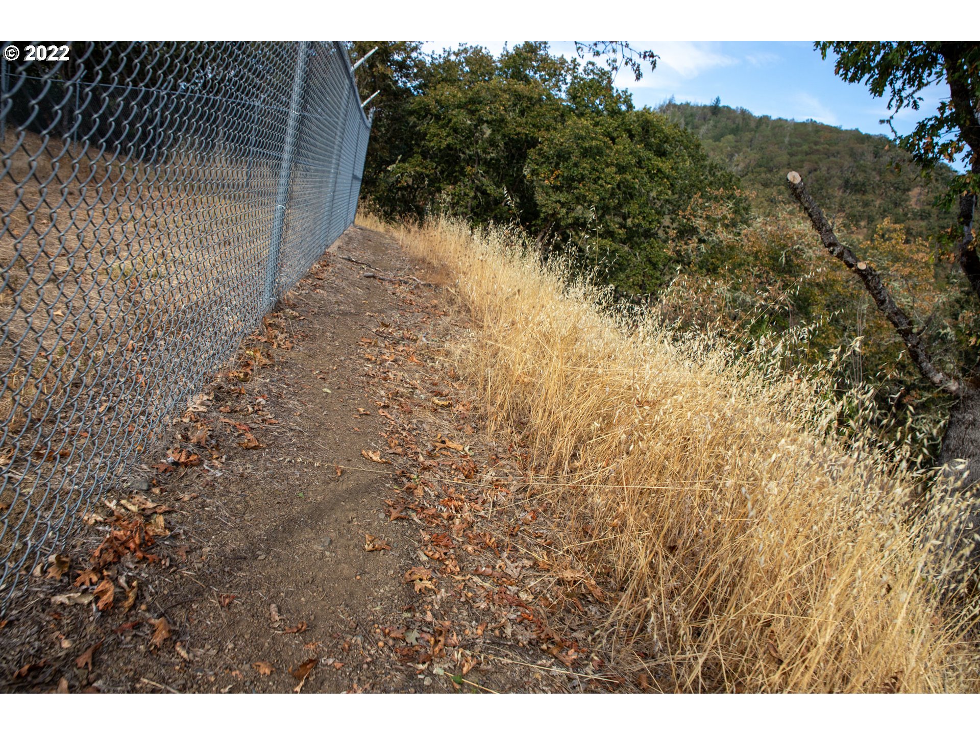 0 North Court Riddle, OR 97469 - Photo 5 of 5 a view of a yard with plants and large tree