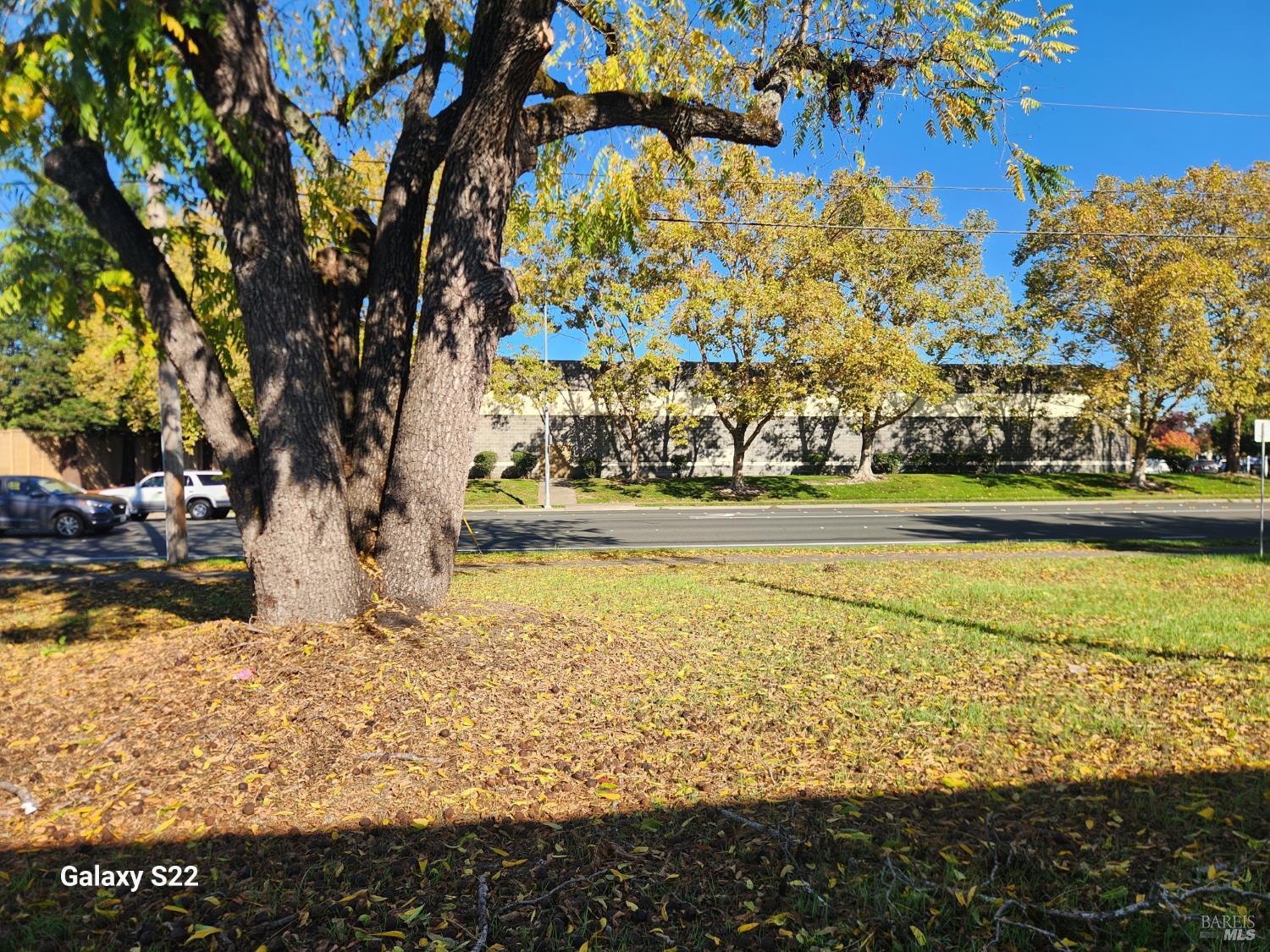 2100 Sebastopol Road Santa Rosa, CA 95407 - Photo 15 of 18 a view of a yard with an ocean view