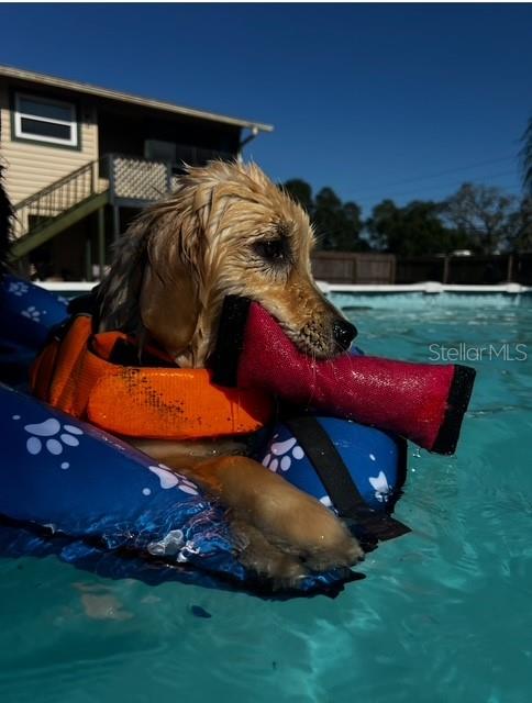 7705 Gardner Road Tampa, FL 33625 - Photo 16 of 51 a view of outdoor space and yard