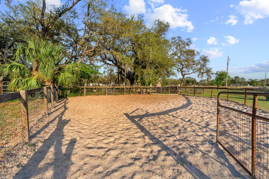 7705 Gardner Road Tampa, FL 33625 - Photo 25 of 51 a view of a lake with a trees