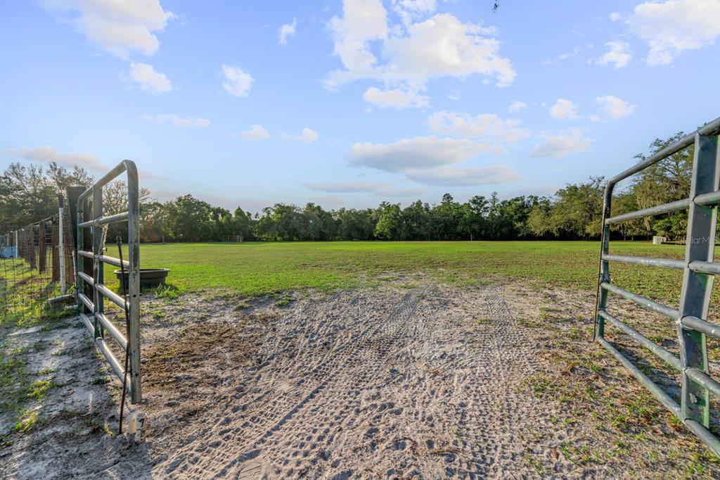 7705 Gardner Road Tampa, FL 33625 - Photo 26 of 51 a view of a park