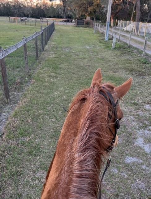 7705 Gardner Road Tampa, FL 33625 - Photo 28 of 51 a view of a lake from a yard