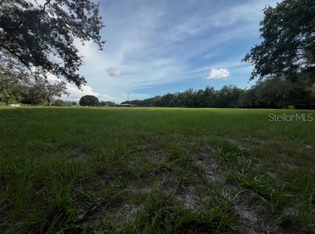 7705 Gardner Road Tampa, FL 33625 - Photo 30 of 51 a view of field with tall trees