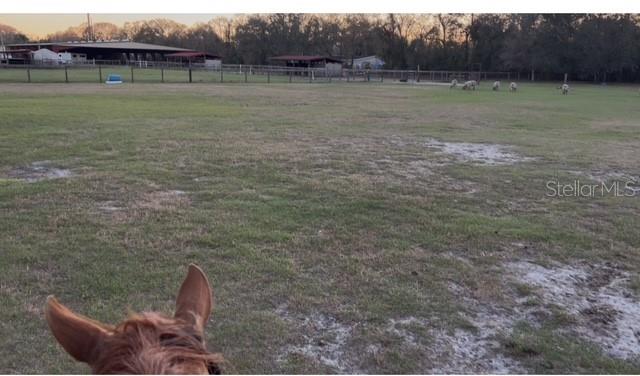 7705 Gardner Road Tampa, FL 33625 - Photo 31 of 51 a view of a backyard