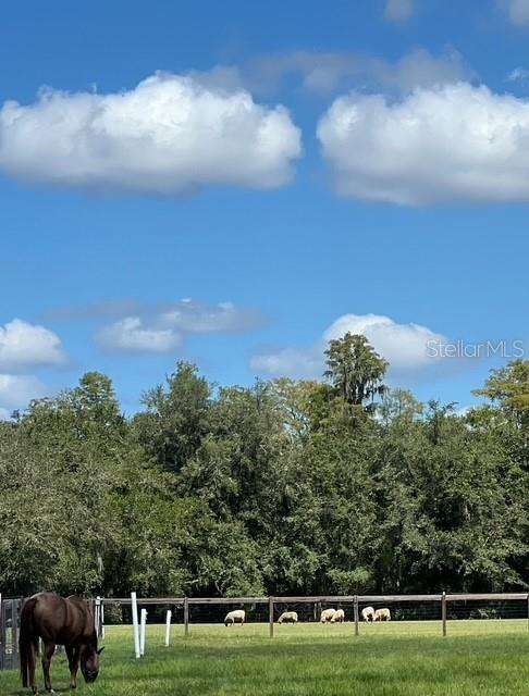 7705 Gardner Road Tampa, FL 33625 - Photo 32 of 51 a view of a golf course with trees