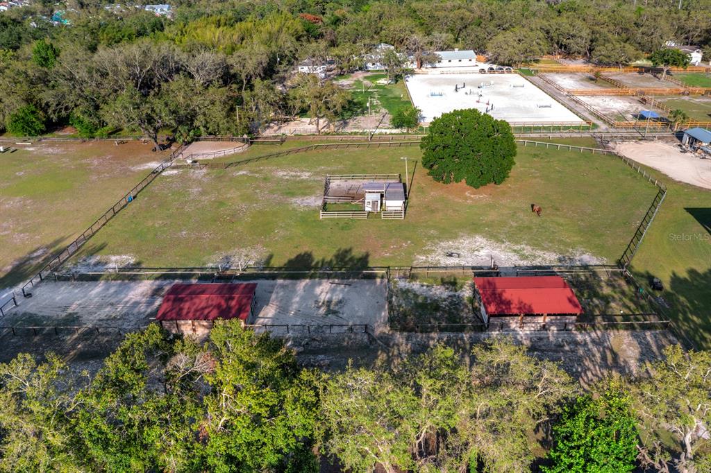 7705 Gardner Road Tampa, FL 33625 - Photo 33 of 51 a view of a yard with an outdoor space