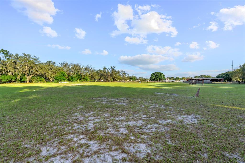 7705 Gardner Road Tampa, FL 33625 - Photo 34 of 51 a view of a golf course with a lake