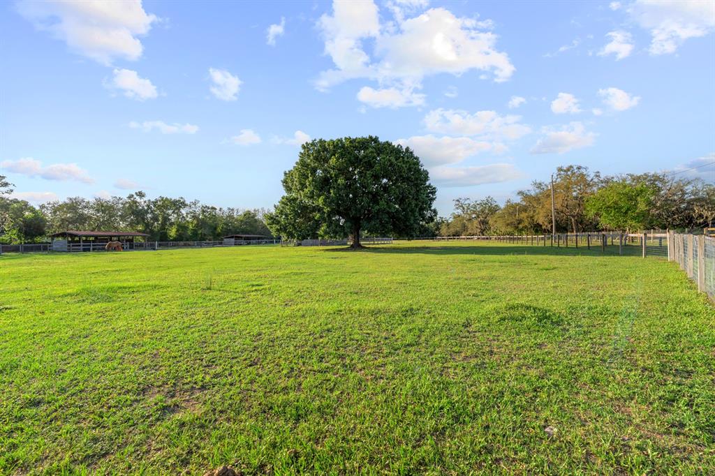 7705 Gardner Road Tampa, FL 33625 - Photo 35 of 51 a view of a green field with clear sky