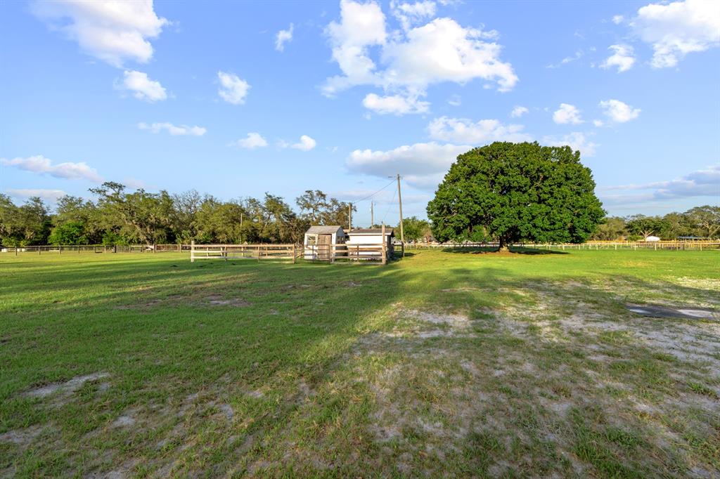 7705 Gardner Road Tampa, FL 33625 - Photo 37 of 51