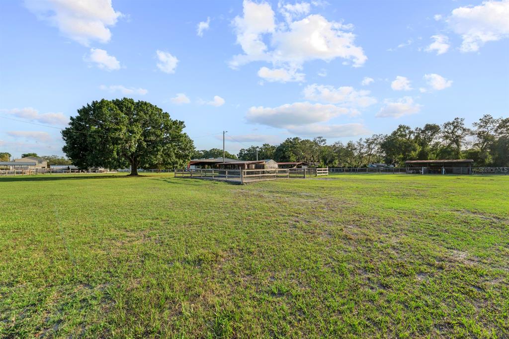 7705 Gardner Road Tampa, FL 33625 - Photo 38 of 51 a view of a green field with clear sky