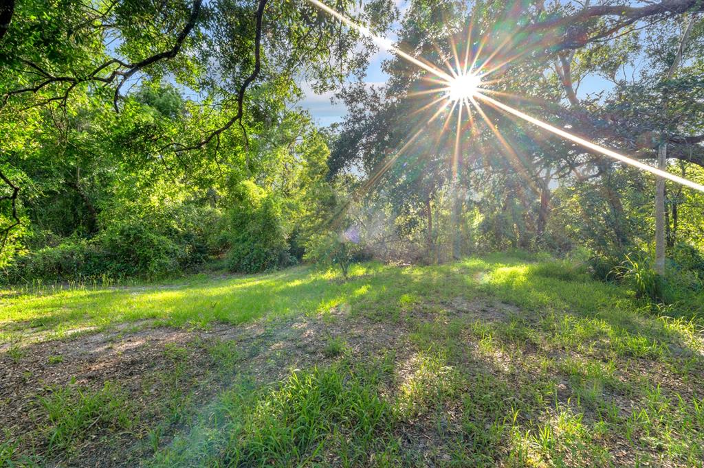 7705 Gardner Road Tampa, FL 33625 - Photo 39 of 51 a view of outdoor space and yard