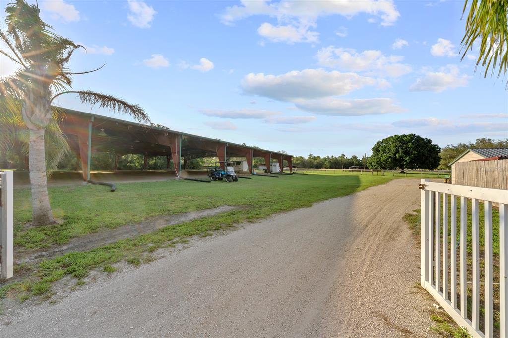 7705 Gardner Road Tampa, FL 33625 - Photo 4 of 51 a view of a street with a yard