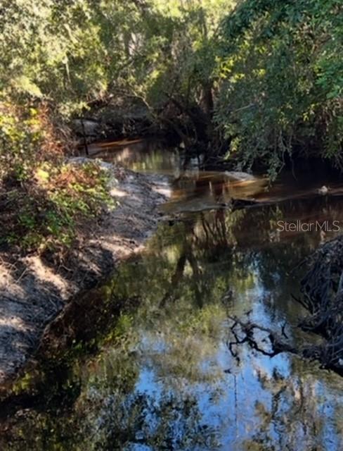 7705 Gardner Road Tampa, FL 33625 - Photo 41 of 51 a view of lake with green space