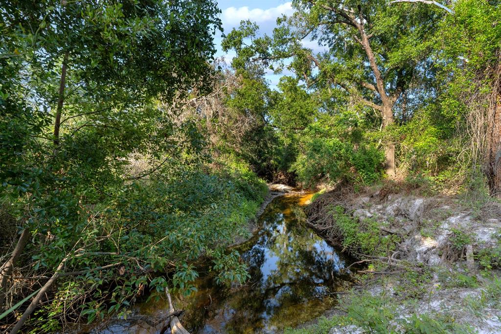7705 Gardner Road Tampa, FL 33625 - Photo 42 of 51 a view of a tree