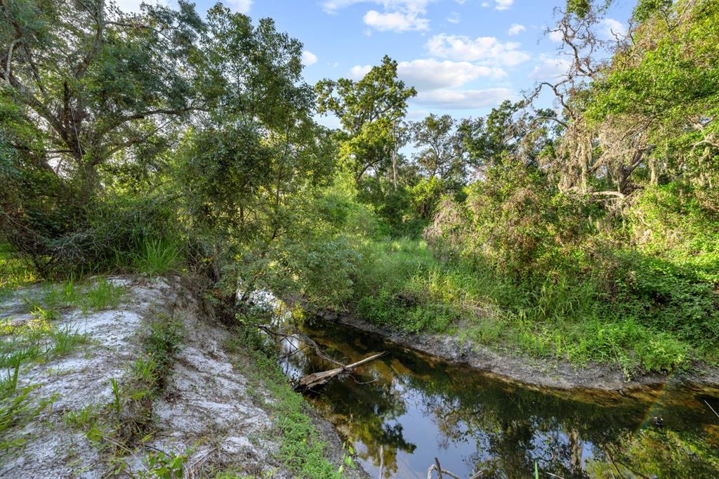7705 Gardner Road Tampa, FL 33625 - Photo 43 of 51 a view of a lake with top of house