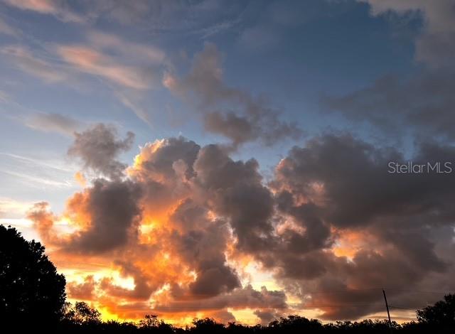 7705 Gardner Road Tampa, FL 33625 - Photo 45 of 51 a view of city and trees