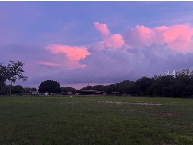 7705 Gardner Road Tampa, FL 33625 - Photo 46 of 51 a view of city and mountain