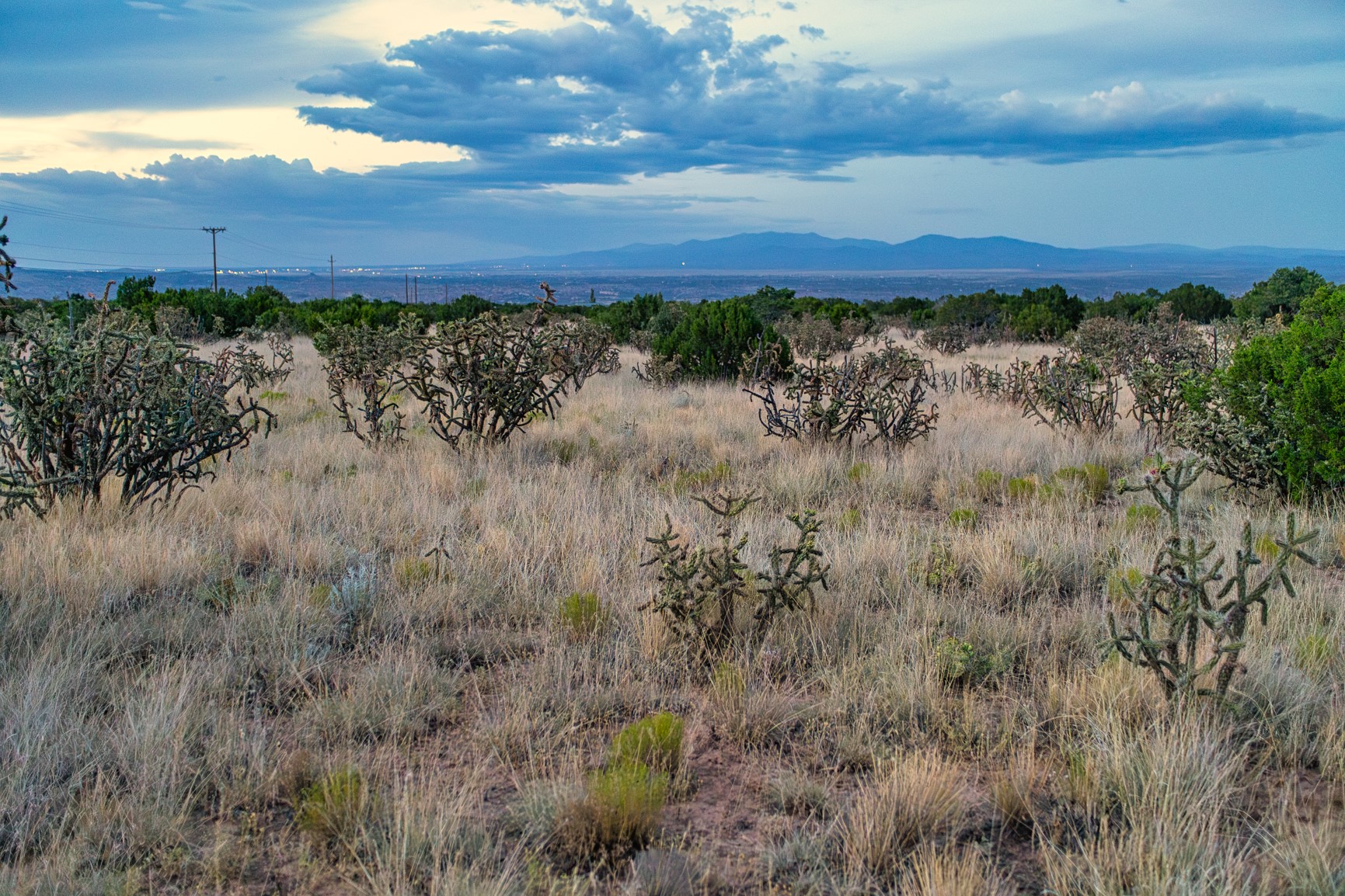 509 Gold Mine Road Cerrillos, NM 87010 - Photo 2 of 20