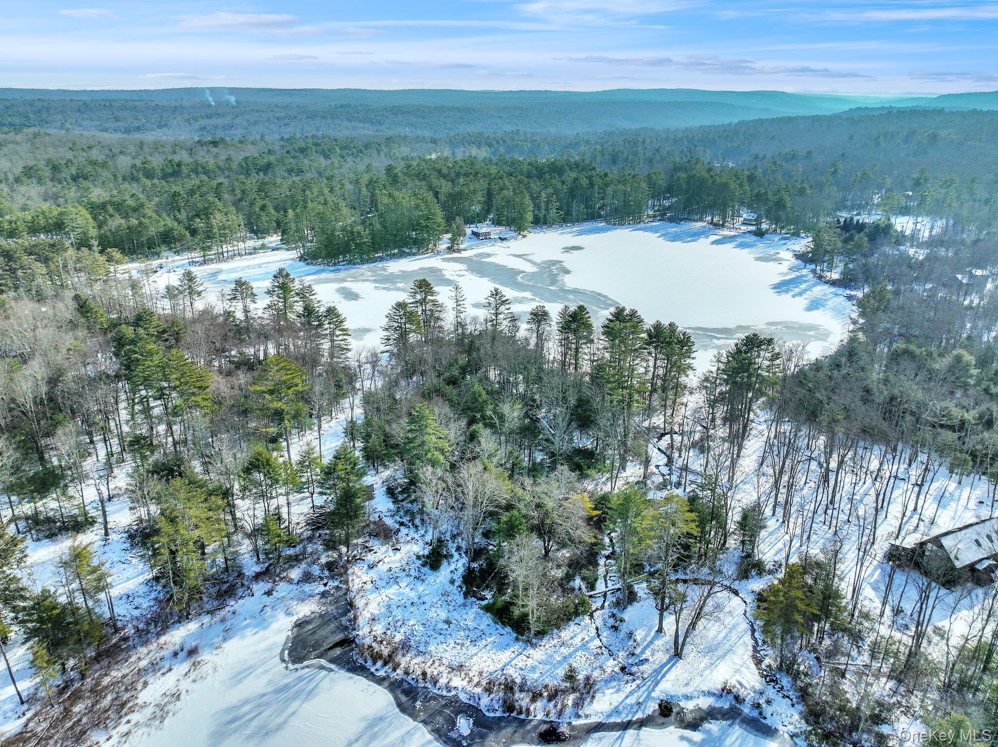 Lot 11.1 State Route 55 And Mail Road Barryville, NY 12719 - Photo 3 of 5 a view of a yard with a house