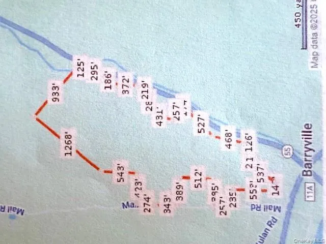 $895,000 | Lot 11.1 State Route 55 And Mail Road, Barryville, NY 12719