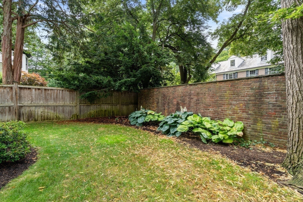 53 Worthington Road Brookline, MA 02446 - Photo 20 of 29 Gallery Image 20