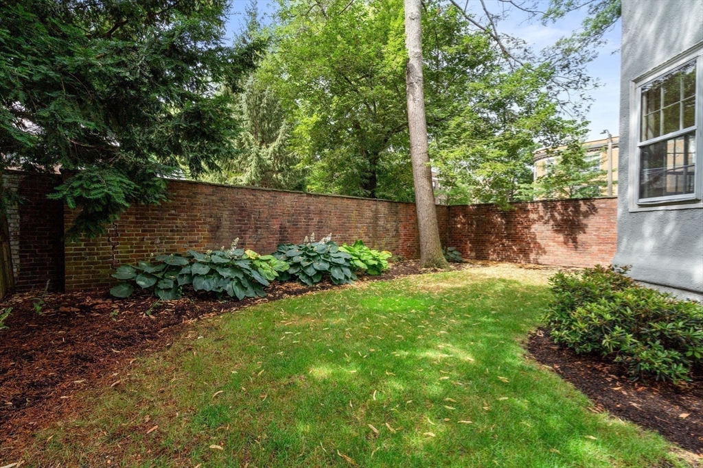 53 Worthington Road Brookline, MA 02446 - Photo 21 of 29 Gallery Image 21