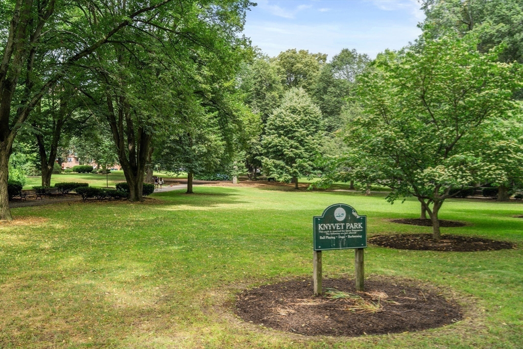 53 Worthington Road Brookline, MA 02446 - Photo 26 of 29 Gallery Image 26