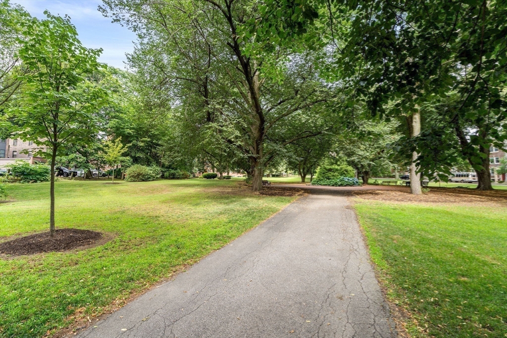 53 Worthington Road Brookline, MA 02446 - Photo 27 of 29 Gallery Image 27