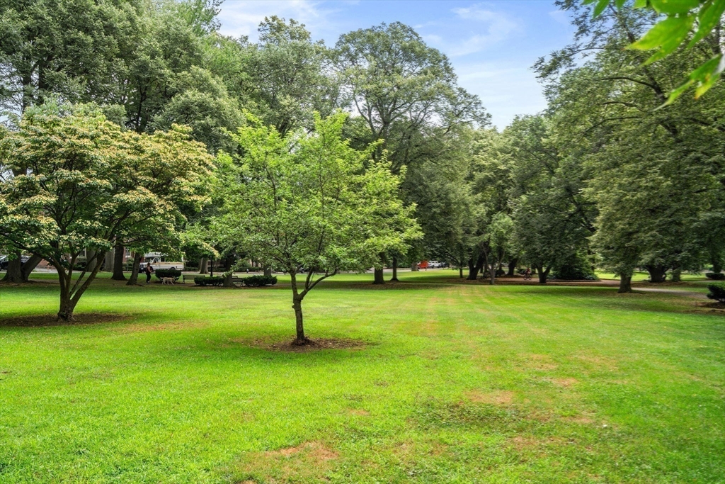 53 Worthington Road Brookline, MA 02446 - Photo 28 of 29 Gallery Image 28