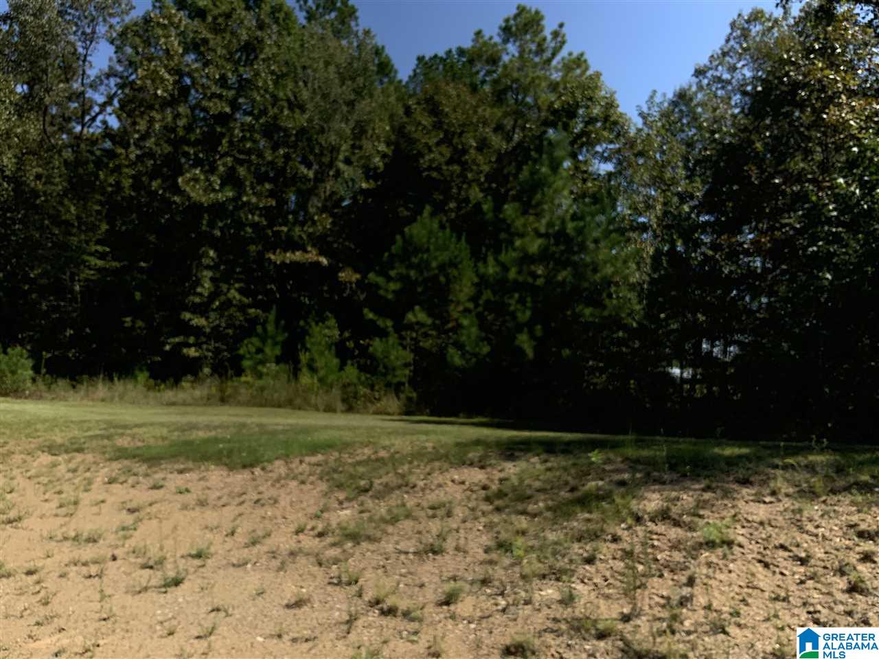 1458 Boiling Springs Road Ohatchee, AL 36271 - Photo 3 of 16