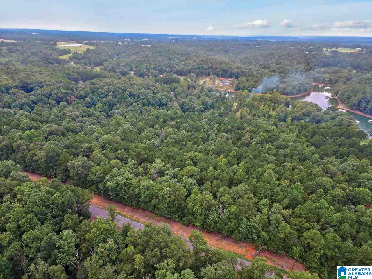 0 Harbor Light Trail, Unit 1 Jasper, AL 35504 - Photo 6 of 22