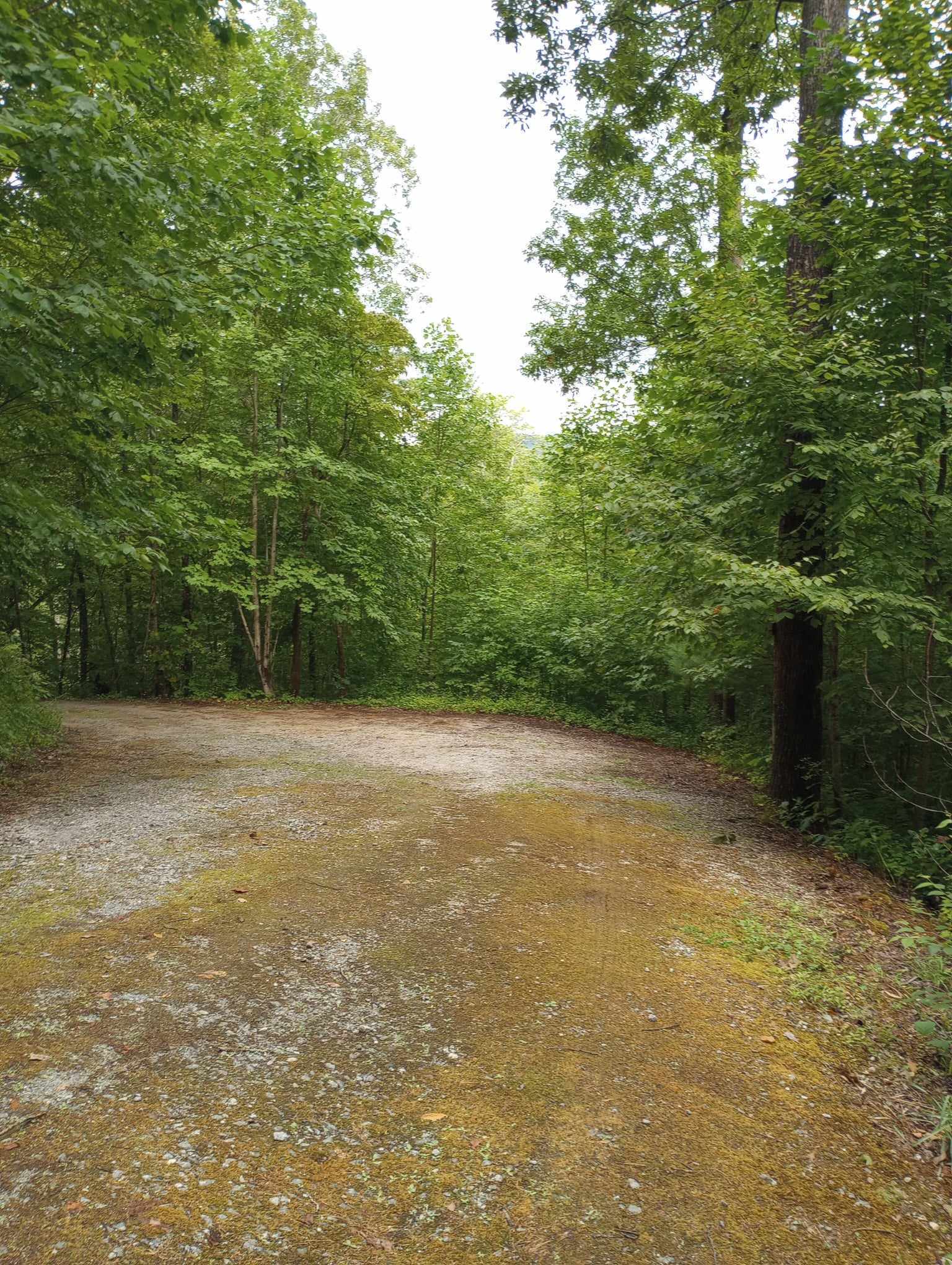 92 Boulder Lane Rabun Gap, GA 30568 - Photo 43 of 55