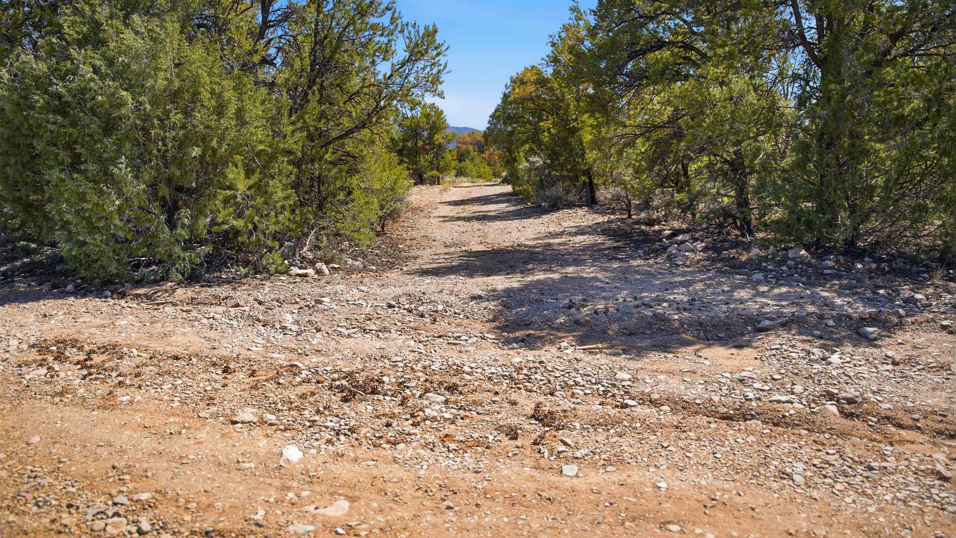 4 Plus Acres Vir Sylvia Road Questa, NM 87556 - Photo 9 of 28 Gallery Image 9