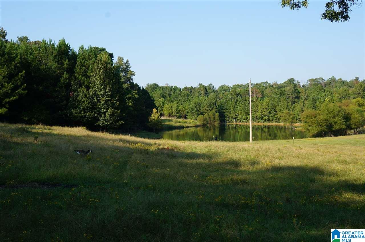 89 Cir M Rnch Drive Sylacauga, AL 35151 - Photo 16 of 50