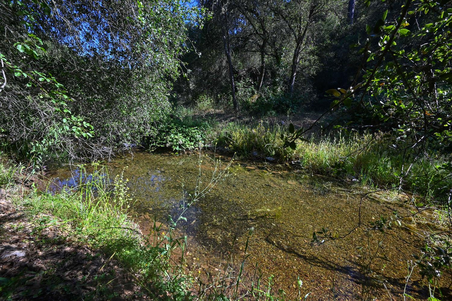 5288 Rattlesnake Bar Road Pilot Hill, CA 95664 - Photo 31 of 45