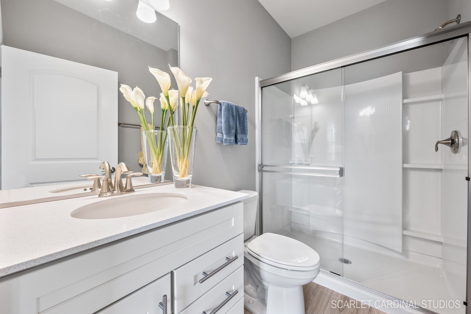 1111 Hibbard Road Naperville, IL 60563 - Photo 11 of 25 Gallery Image 11